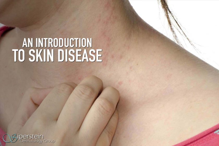 Introduction to Skin Disease