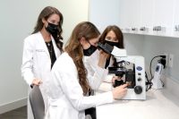 Mohs surgery Siperstein Dermatology
